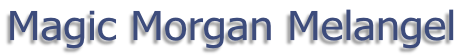 Magic Morgan Melangel